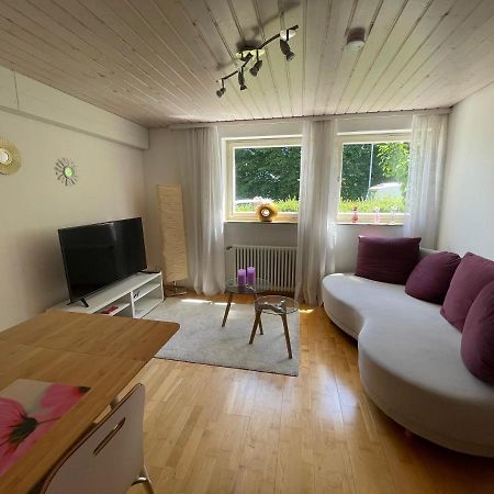 2-Zimmer-Nichtraucher-Ferienwohnung Strobel Τούμπινγκεν Εξωτερικό φωτογραφία